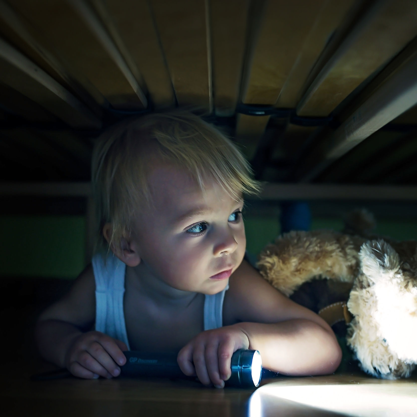 Toddler Nightmares & Night Terrors: What You Should Know